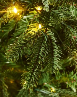 WeRChristmas Pre-Lit Grand Nordmann Fir Christmas Tree, 6 Ft^ Pre Lit Christmas Trees