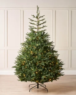 WeRChristmas Pre-Lit Grand Nordmann Fir Christmas Tree, 7 Ft^ Pre Lit Christmas Trees