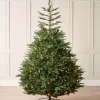 WeRChristmas Pre-Lit Grand Nordmann Fir Christmas Tree, 8 Ft^ Pre Lit Christmas Trees
