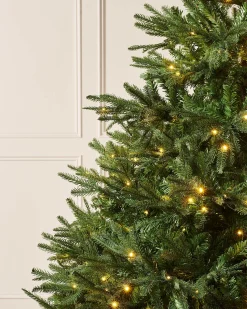 WeRChristmas Pre-Lit Grand Nordmann Fir Christmas Tree, 8 Ft^ Pre Lit Christmas Trees