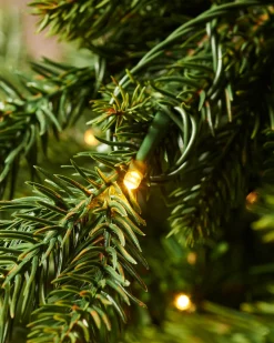 WeRChristmas Pre-Lit Himalayan Fir Christmas Tree, 6 Ft^ Premium Christmas Trees|Pre Lit Christmas Trees