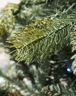 WeRChristmas Pre-Lit Mixed Pine Dual Christmas Tree, 6 Ft^ Pre Lit Christmas Trees