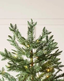 WeRChristmas Pre-Lit Mixed Pine Natural Bark Christmas Tree, 8 Ft^ Pre Lit Christmas Trees