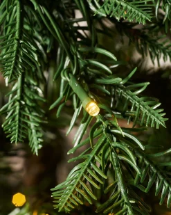 WeRChristmas Pre-Lit Mixed Pine Natural Bark Christmas Tree, 9 Ft^ Pre Lit Christmas Trees