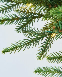 WeRChristmas Pre-Lit Multi-Function Douglas Fir Wreath, 60 Cm^ Decorated Wreaths|Pre Lit Wreaths