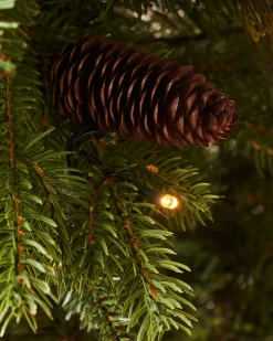 WeRChristmas Pre-Lit Natural Pine Potted Christmas Tree, 3.5 Ft^ Budget Christmas Trees|Potted Christmas Trees
