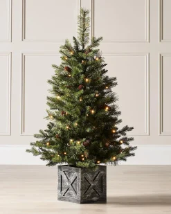 WeRChristmas Pre-Lit Natural Pine Potted Christmas Tree, 3.5 Ft^ Budget Christmas Trees|Potted Christmas Trees