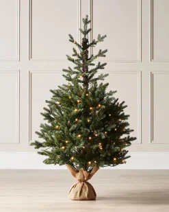WeRChristmas Pre-Lit Norway Spruce Potted Christmas Tree, 3 Ft^ Budget Christmas Trees|Potted Christmas Trees