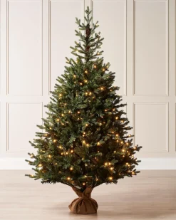 WeRChristmas Pre-Lit Norway Spruce Potted Christmas Tree, 5 Ft^ Budget Christmas Trees|Potted Christmas Trees