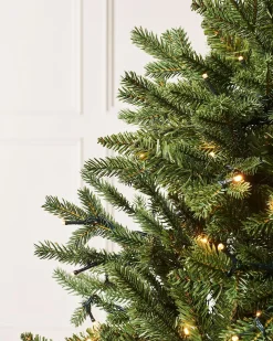WeRChristmas Pre-Lit Norway Spruce Potted Christmas Tree, 5 Ft^ Budget Christmas Trees|Potted Christmas Trees