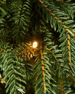 WeRChristmas Pre-Lit Norway Spruce Potted Christmas Tree, 6 Ft^ Potted Christmas Trees|Pre Lit Christmas Trees