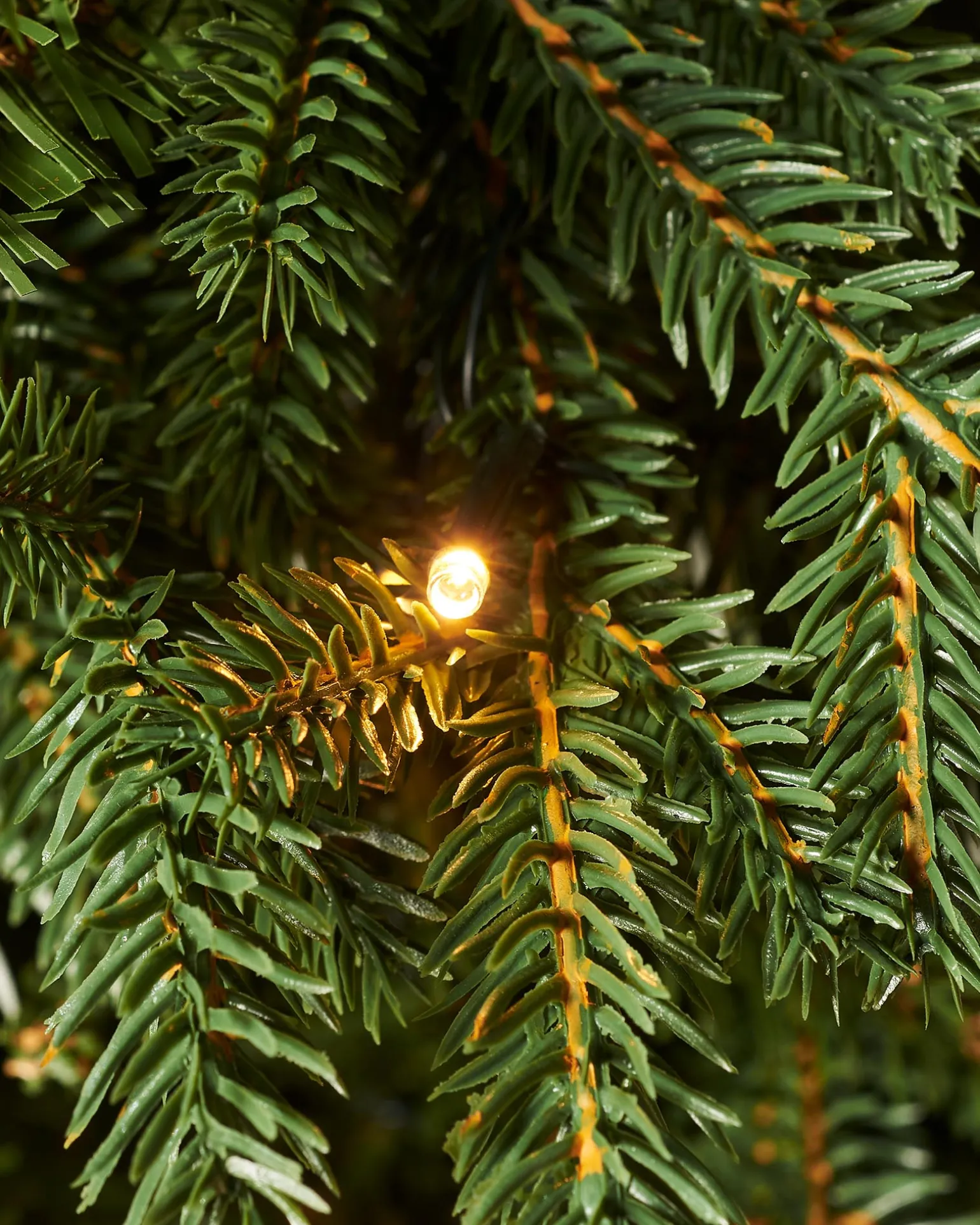 WeRChristmas Pre-Lit Norway Spruce Potted Christmas Tree, 6 Ft^ Potted Christmas Trees|Pre Lit Christmas Trees