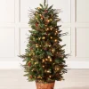 WeRChristmas Pre-Lit Pines & Berries Potted Christmas Tree, 4.5 Ft^ Premium Christmas Trees|Potted Christmas Trees