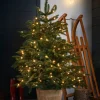 WeRChristmas Pre-Lit Potted Alaskan Fir Christmas Tree, 4 Ft^ Budget Christmas Trees|Potted Christmas Trees