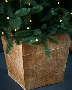 WeRChristmas Pre-Lit Potted Alaskan Fir Christmas Tree, 4 Ft^ Budget Christmas Trees|Potted Christmas Trees