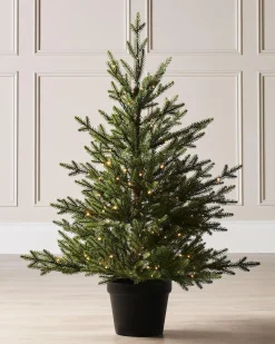 WeRChristmas Pre-Lit Potted Douglas Fir Christmas Tree, 3 Ft^ Budget Christmas Trees|Potted Christmas Trees