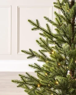 WeRChristmas Pre-Lit Potted Douglas Fir Christmas Tree, 3 Ft^ Budget Christmas Trees|Potted Christmas Trees