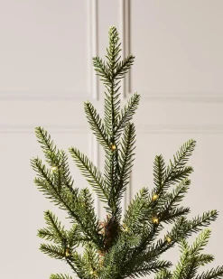 WeRChristmas Pre-Lit Potted Douglas Fir Christmas Tree, 3 Ft^ Budget Christmas Trees|Potted Christmas Trees