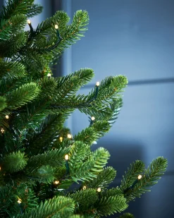 WeRChristmas Pre-Lit Potted Dwarf Fir Christmas Tree, 3 Ft^ Budget Christmas Trees|Potted Christmas Trees