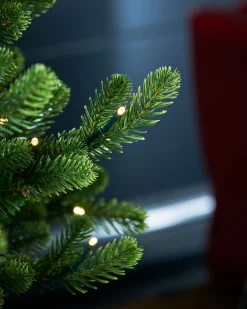 WeRChristmas Pre-Lit Potted Dwarf Fir Christmas Tree, 3 Ft^ Budget Christmas Trees|Potted Christmas Trees