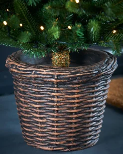 WeRChristmas Pre-Lit Potted Dwarf Fir Christmas Tree, 3 Ft^ Budget Christmas Trees|Potted Christmas Trees