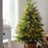 WeRChristmas Pre-Lit Potted Pine Christmas Tree, 4 Ft^ Budget Christmas Trees|Potted Christmas Trees