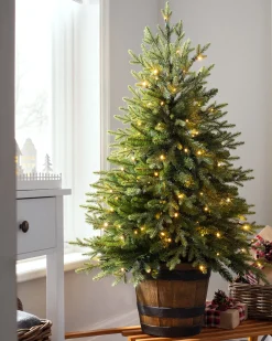 WeRChristmas Pre-Lit Potted Pine Christmas Tree, 4 Ft^ Budget Christmas Trees|Potted Christmas Trees