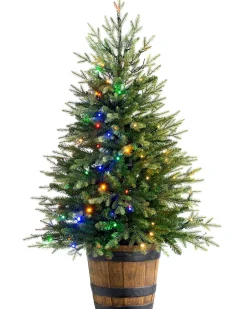 WeRChristmas Pre-Lit Potted Pine Christmas Tree, 4 Ft^ Budget Christmas Trees|Potted Christmas Trees