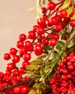 WeRChristmas Pre-Lit Red Berry Wreath, 76 Cm^ Decorated Wreaths|Pre Lit Wreaths