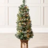 WeRChristmas Pre-Lit Scandinavian Blue Spruce Christmas Tree, 4 Ft^ Budget Christmas Trees|Snow Flocked Christmas Trees