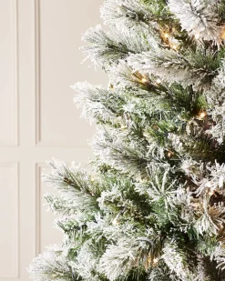 WeRChristmas Pre-Lit Slim Snow Flocked Spruce Christmas Tree, 8 Ft^ Premium Christmas Trees|Snow Flocked Christmas Trees