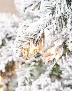 WeRChristmas Pre-Lit Snow Flocked Alpine Christmas Tree, 6 Ft^ Premium Christmas Trees|Snow Flocked Christmas Trees