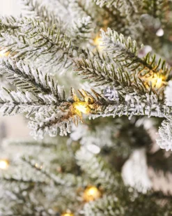 WeRChristmas Pre-Lit Snow Flocked Douglas Fir Christmas Tree, 8 Ft^ Premium Christmas Trees|Snow Flocked Christmas Trees