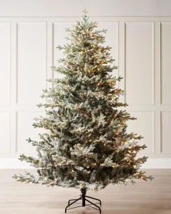 WeRChristmas Pre-Lit Snow Flocked Fraser Fir Christmas Tree, 7 Ft^ Premium Christmas Trees|Snow Flocked Christmas Trees