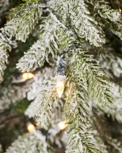 WeRChristmas Pre-Lit Snow Flocked Fraser Fir Christmas Tree, 7 Ft^ Premium Christmas Trees|Snow Flocked Christmas Trees