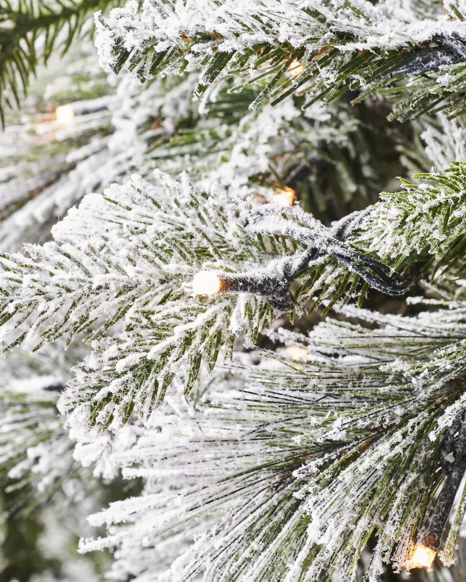 WeRChristmas Pre-Lit Snow Flocked Mixed Pine Christmas Tree, 5 Ft^ Budget Christmas Trees|Snow Flocked Christmas Trees