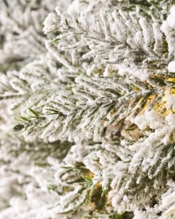 WeRChristmas Pre-Lit Snow Flocked Natural Fir Majestic Wreath, 1.5 M^ Extra Large Wreaths|Decorated Wreaths