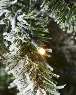 WeRChristmas Pre-Lit Snow Flocked Pencil Christmas Tree, 6.5 Ft^ Budget Christmas Trees|Snow Flocked Christmas Trees