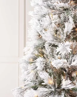 WeRChristmas Pre-Lit Snow Flocked Pine Needle Christmas Tree, 5 Ft^ Premium Christmas Trees|Budget Christmas Trees