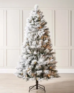 WeRChristmas Pre-Lit Snow Flocked Pine Needle Christmas Tree, 6 Ft^ Premium Christmas Trees|Snow Flocked Christmas Trees