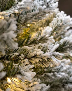 WeRChristmas Pre-Lit Snow Flocked Pop-Up Christmas Tree, 5 Ft^ Budget Christmas Trees|Snow Flocked Christmas Trees