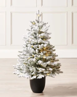 WeRChristmas Pre-Lit Snow Flocked Potted Christmas Tree, 3 Ft^ Budget Christmas Trees|Potted Christmas Trees