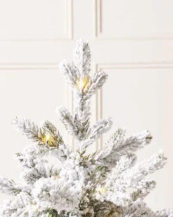 WeRChristmas Pre-Lit Snow Flocked Potted Christmas Tree, 3 Ft^ Budget Christmas Trees|Potted Christmas Trees