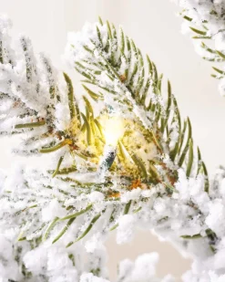 WeRChristmas Pre-Lit Snow Flocked Potted Christmas Tree, 3 Ft^ Budget Christmas Trees|Potted Christmas Trees