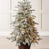 WeRChristmas Pre-Lit Snow Flocked Potted Christmas Tree, 4 Ft^ Budget Christmas Trees|Potted Christmas Trees