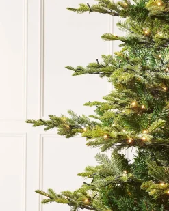 WeRChristmas Pre-Lit Sugar Pine Christmas Tree, 6 Ft^ Premium Christmas Trees|Pre Lit Christmas Trees