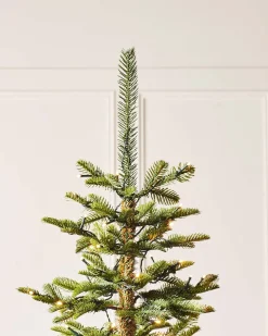 WeRChristmas Pre-Lit Sugar Pine Christmas Tree, 7 Ft^ Premium Christmas Trees|Pre Lit Christmas Trees