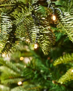 WeRChristmas Pre-Lit Sugar Pine Christmas Tree, 8 Ft^ Premium Christmas Trees|Pre Lit Christmas Trees