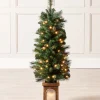 WeRChristmas Pre-Lit Victorian Pine Christmas Tree, 4 Ft^ Budget Christmas Trees|Potted Christmas Trees