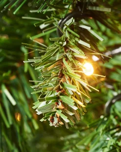 WeRChristmas Pre-Lit Victorian Pine Christmas Tree, 4 Ft^ Budget Christmas Trees|Potted Christmas Trees
